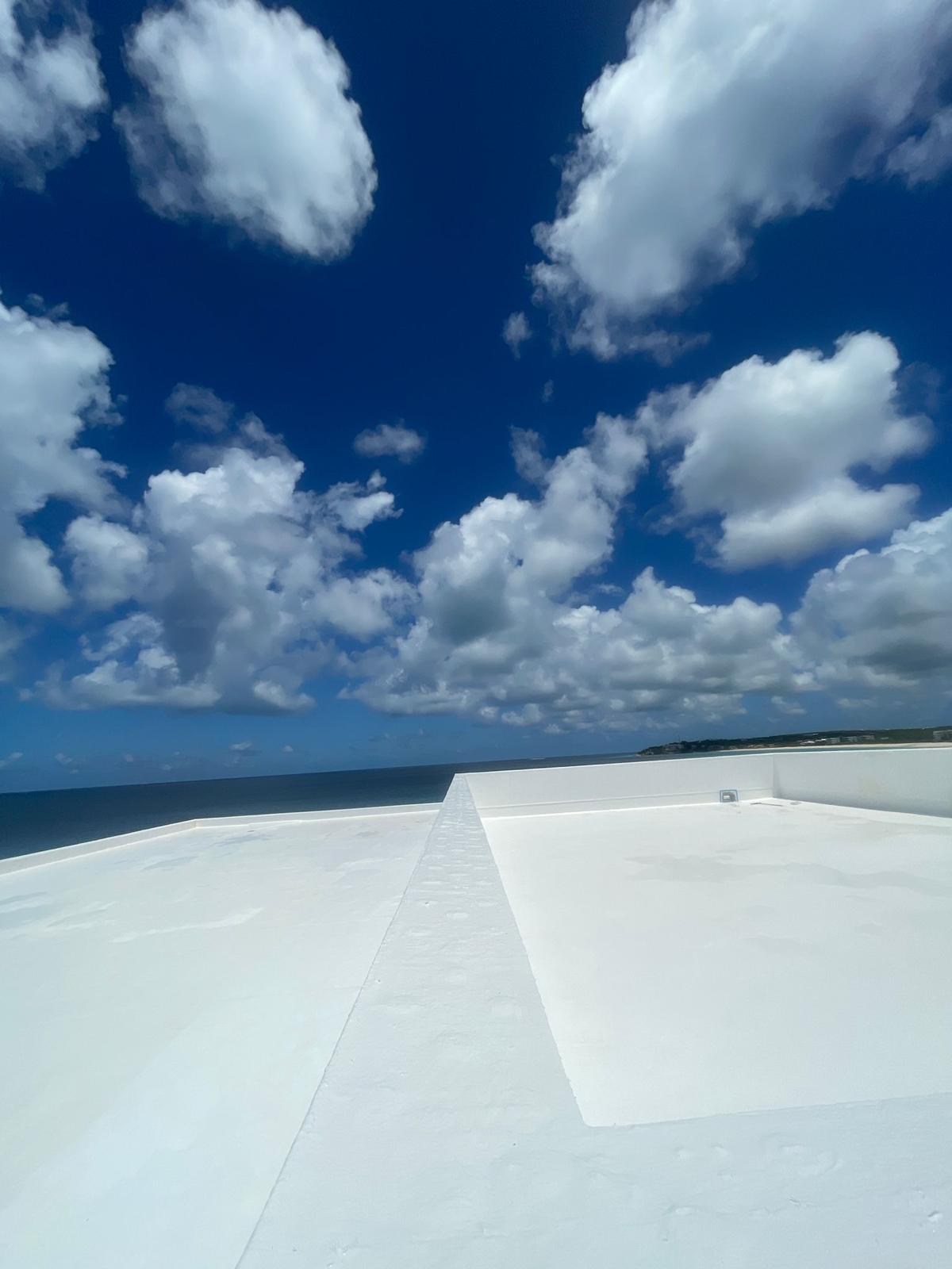 Best roofing materials Caribbean guide